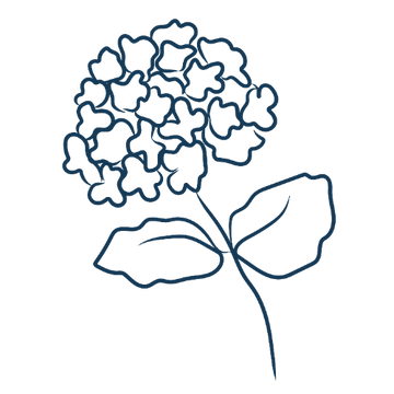 Hydrangea flower icon